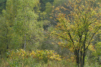 20091005-2