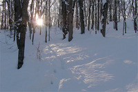 20100117-2