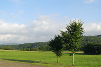 20100920-2